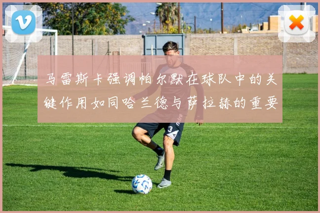 马雷斯卡强调帕尔默在球队中的关键作用如同哈兰德与萨拉赫的重要性