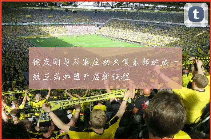徐友刚与石家庄功夫俱乐部达成一致正式加盟开启新征程